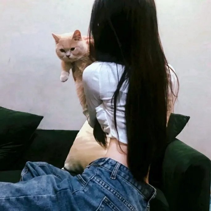西拉诺